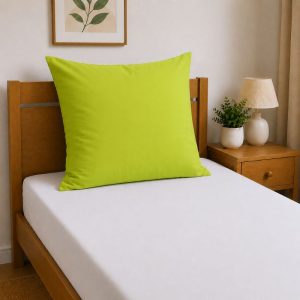 275904 lime (7).jpg